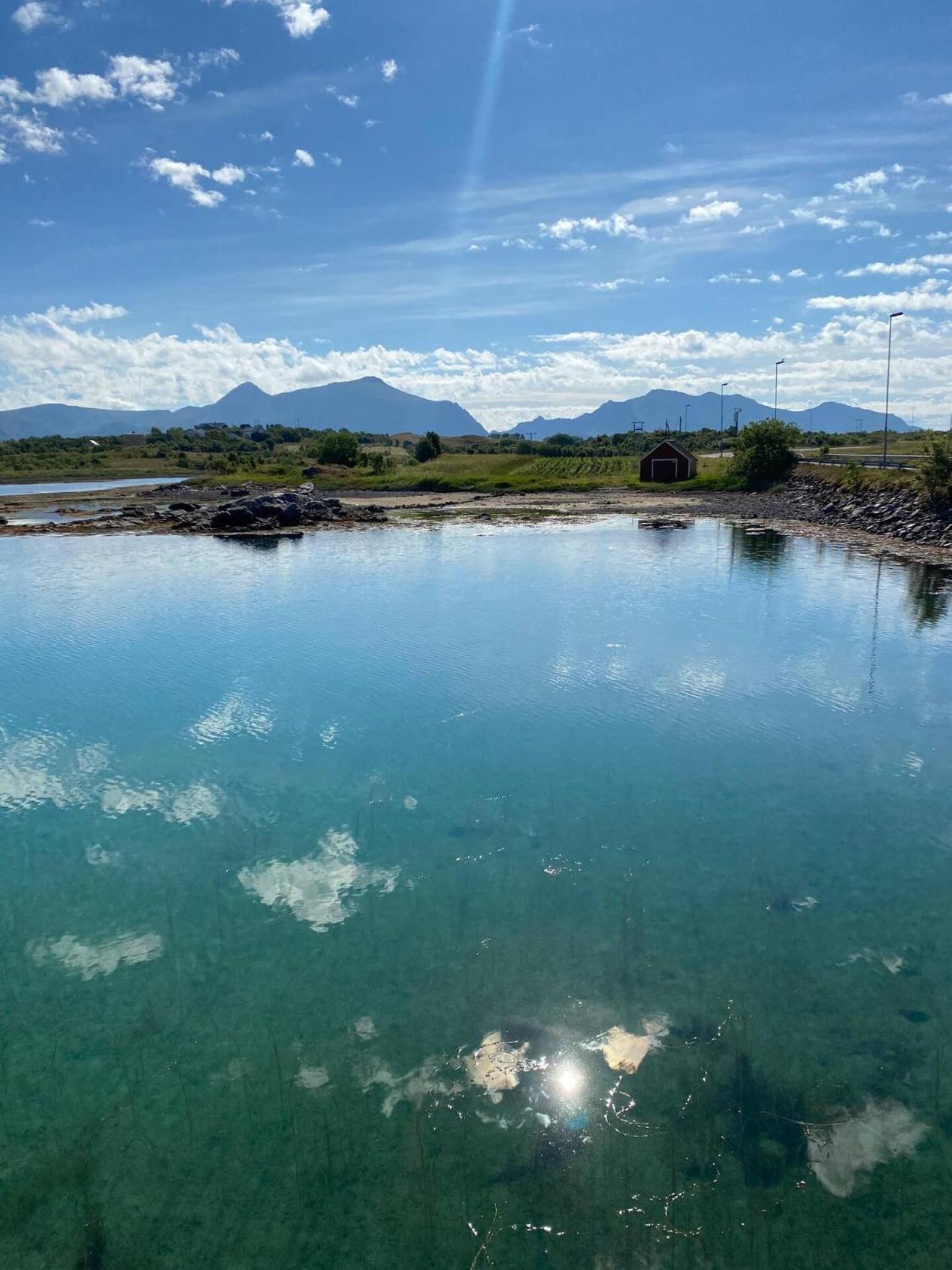 Rorbu By Nappstraumen, Lofoten Vila Gravdal  Exterior foto